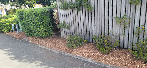 Photo from customer review